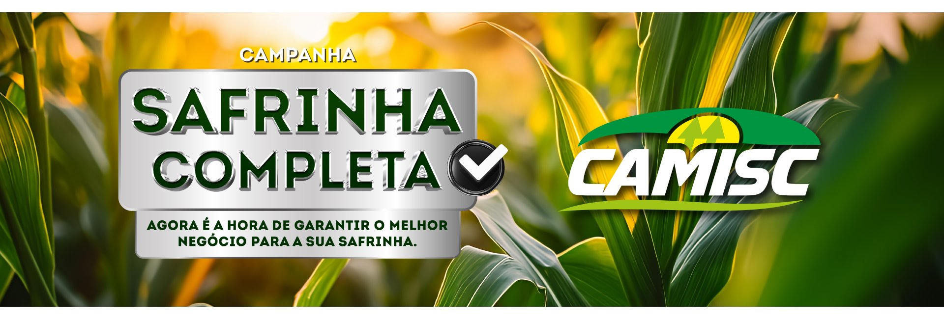 Campanha Safrinha Completa