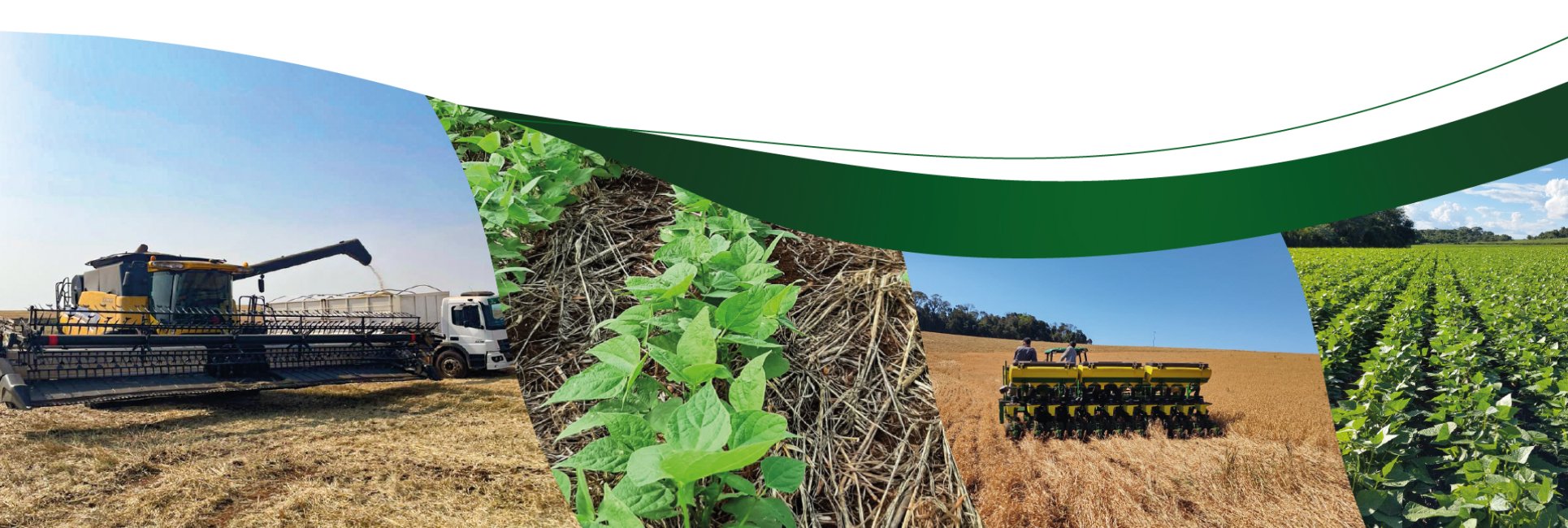 Camisc Agro