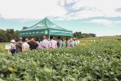 Circuito da Soja movimenta o primeiro trimestre de 2025