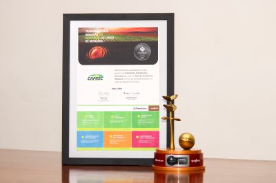 Camisc Sementes conquista Certifica&ccedil;&atilde;o Seedcare Syngenta pelo 4&ordm; ano consecutivo