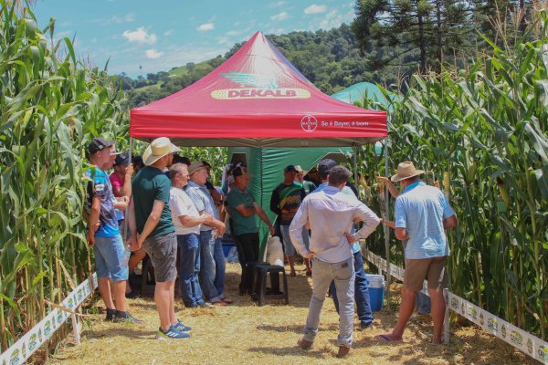 Circuito da Silagem re&uacute;ne produtores e parceiros em manh&atilde; t&eacute;cnica em Quilombo/SC