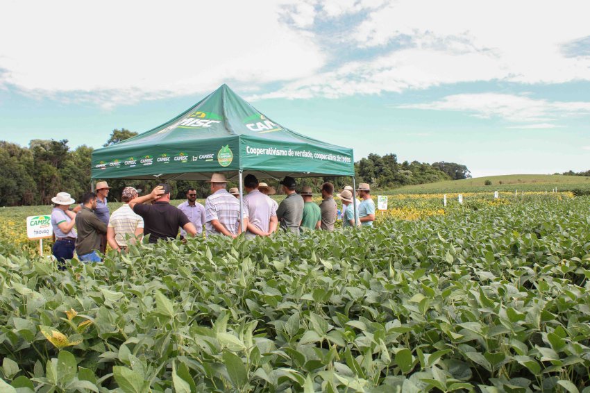 Circuito da Soja movimenta o primeiro trimestre de 2025