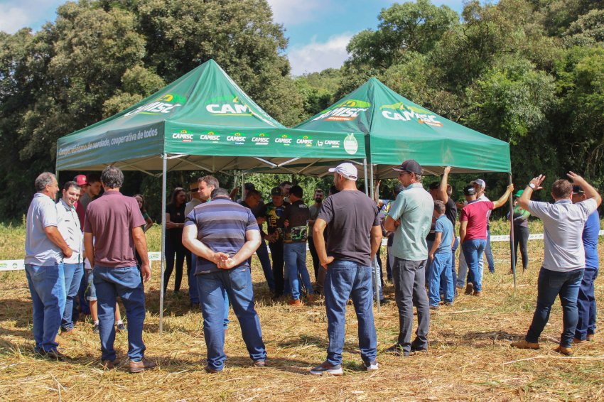 Circuito da Silagem leva conhecimento t&eacute;cnico aos produtores em Galv&atilde;o